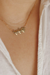 Sacred Hearts of the Holy Family Necklace