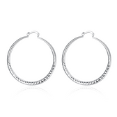 Sterling Silver Earrings